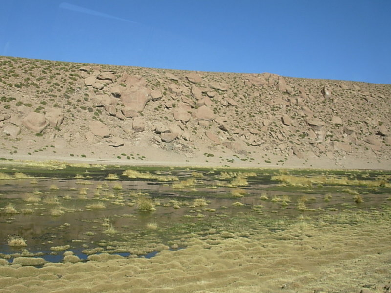 Foto de San Pedro de Atacama, Chile