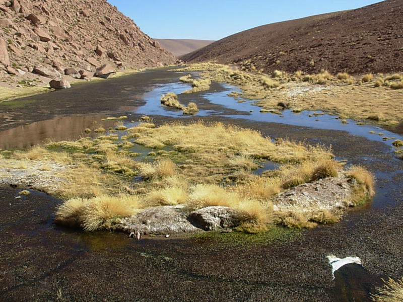 Foto de San Pedro de Atacama, Chile