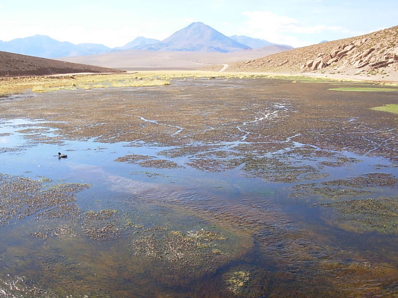 Foto de San Pedro de Atacama, Chile