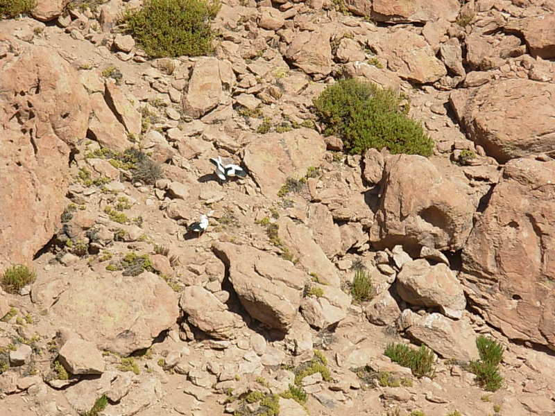 Foto de San Pedro de Atacama, Chile