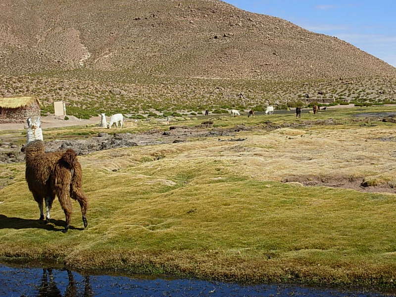 Foto de San Pedro de Atacama, Chile