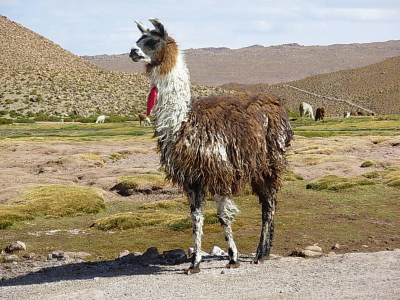 Foto de San Pedro de Atacama, Chile