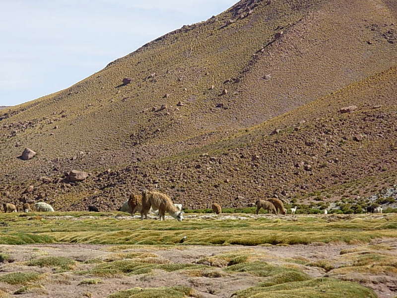 Foto de San Pedro de Atacama, Chile