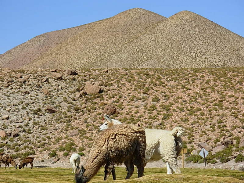 Foto de San Pedro de Atacama, Chile