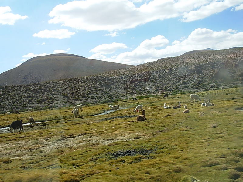 Foto de San Pedro de Atacama, Chile