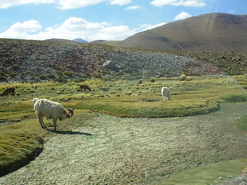 Foto de San Pedro de Atacama, Chile