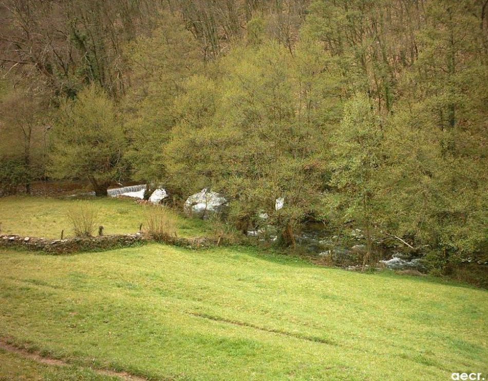 Foto de Cangas del Narcea (Asturias), España