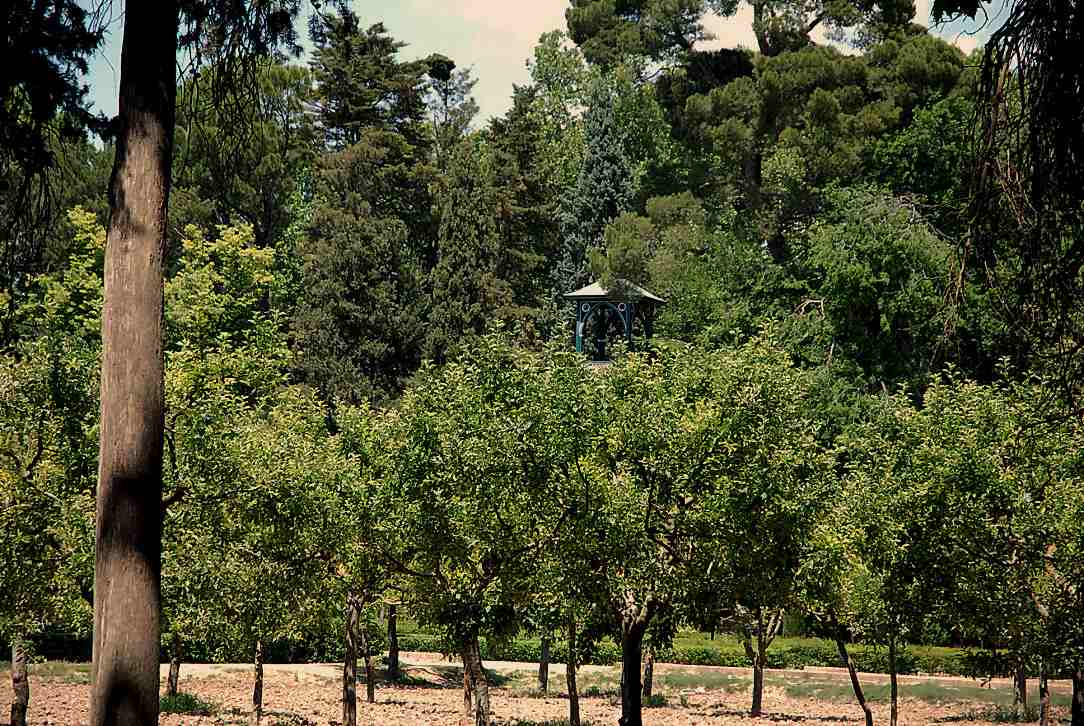 Foto de Aranjuez (Madrid), España