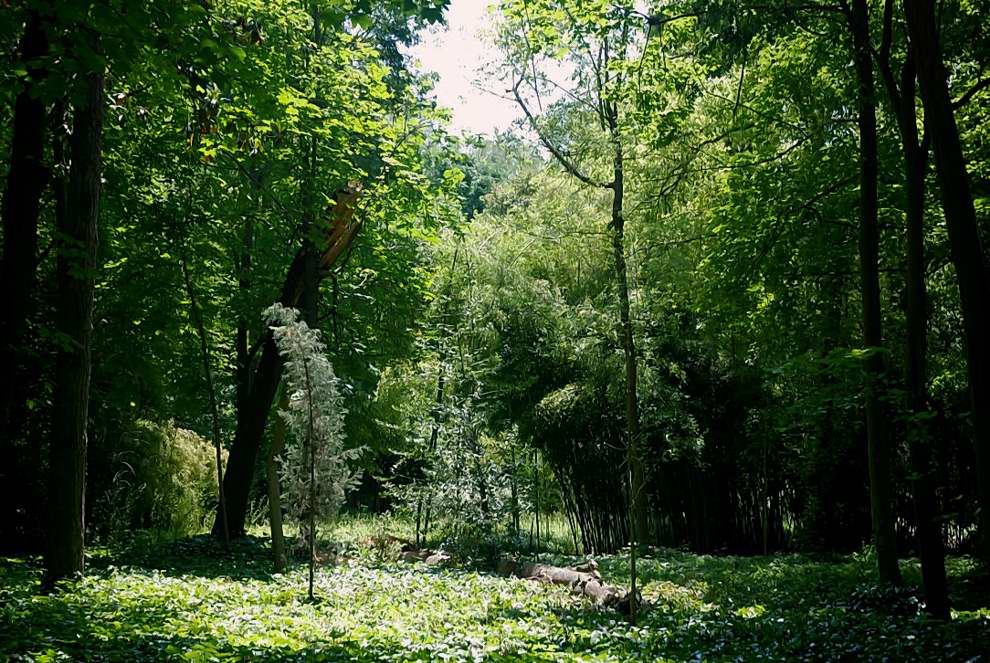 Foto de Aranjuez (Madrid), España