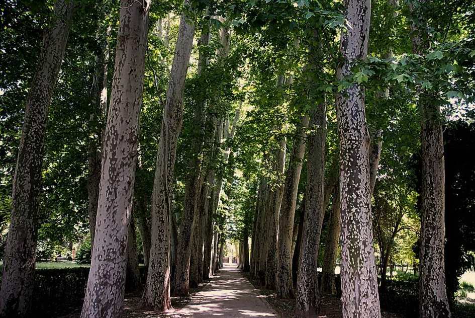 Foto de Aranjuez (Madrid), España