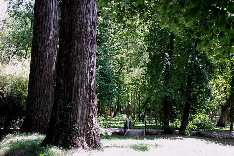 Foto de Aranjuez (Madrid), España