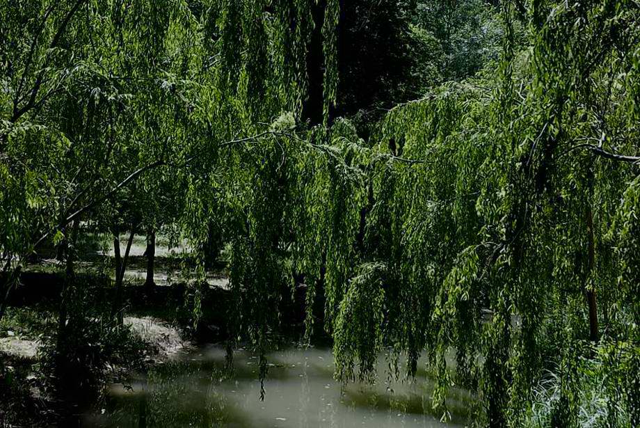 Foto de Aranjuez (Madrid), España