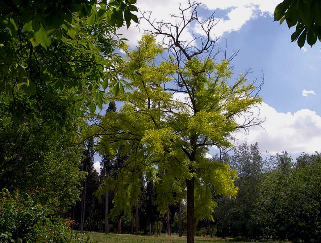 Foto de Aranjuez (Madrid), España