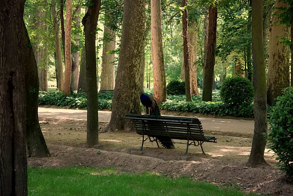 Foto de Aranjuez (Madrid), España