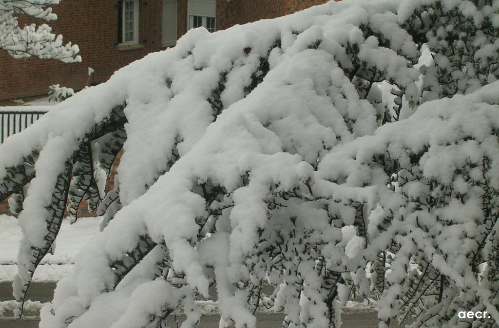 Foto de Pozuelo de Alarcón (Madrid), España