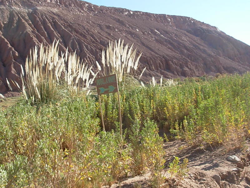 Foto de San Pedro de Atacama, Chile