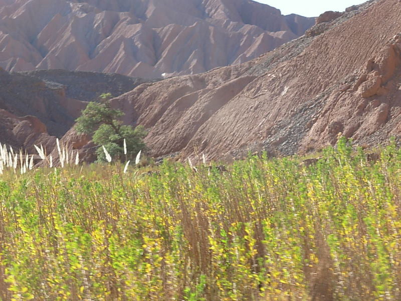 Foto de San Pedro de Atacama, Chile