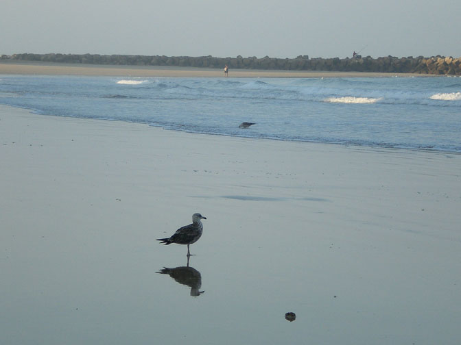 Foto de Cádiz (Andalucía), España