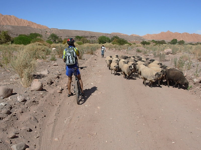 Foto de San Pedro de Atacama, Chile