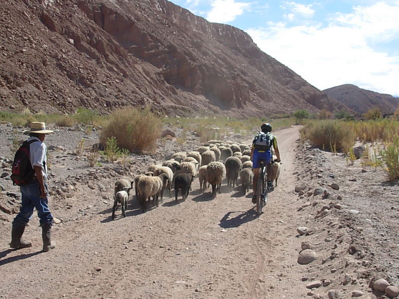 Foto de San Pedro de Atacama, Chile