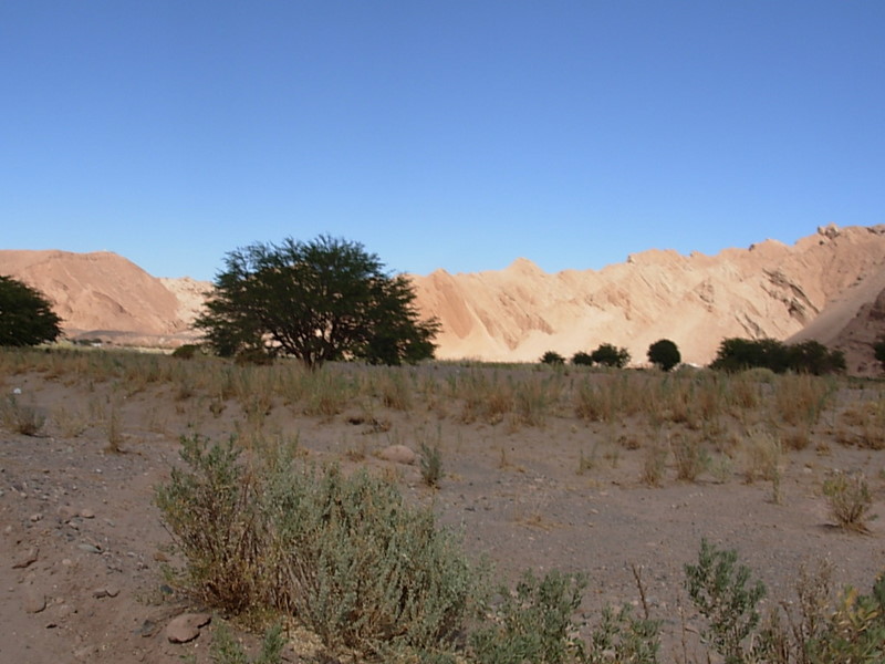 Foto de San Pedro de Atacama, Chile