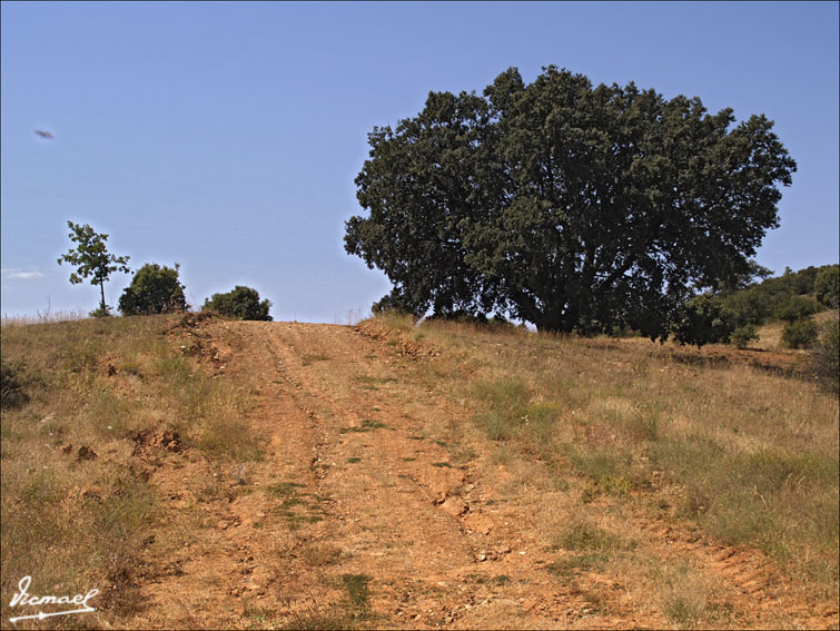 Foto de Ariza (Zaragoza), España