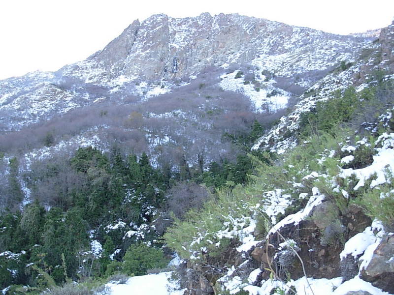 Foto de Olmue, Chile