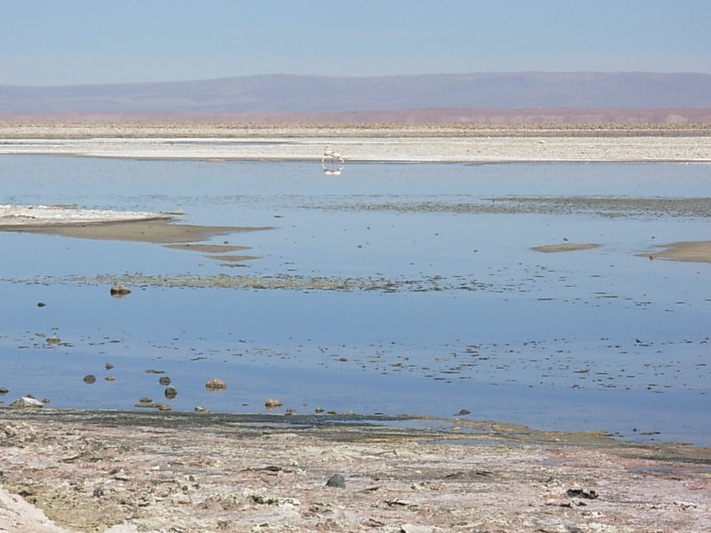 Foto de San Pedro de Atacama, Chile