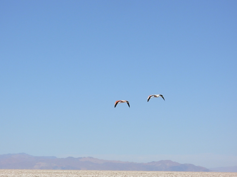 Foto de San Pedro de Atacama, Chile