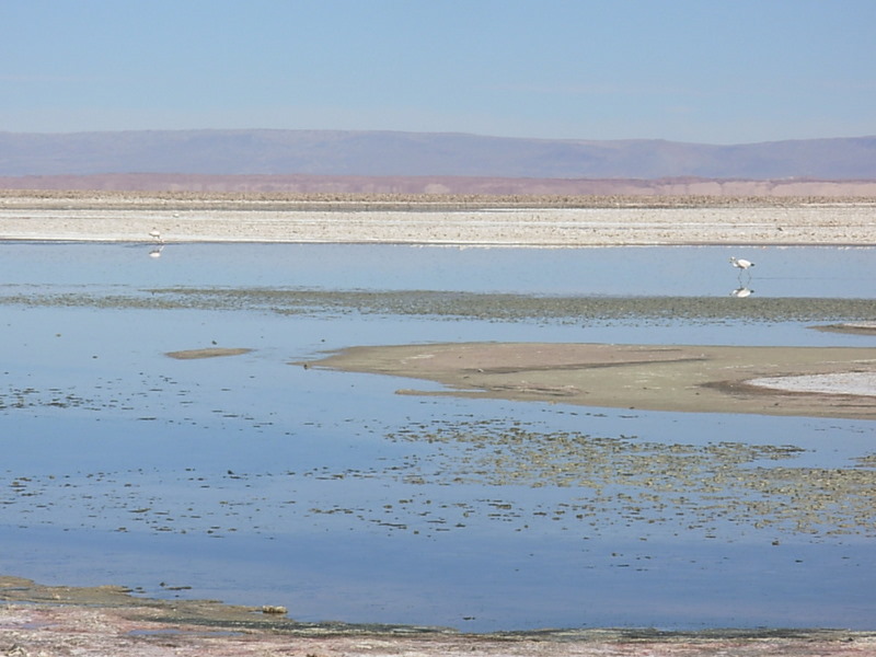 Foto de San Pedro de Atacama, Chile