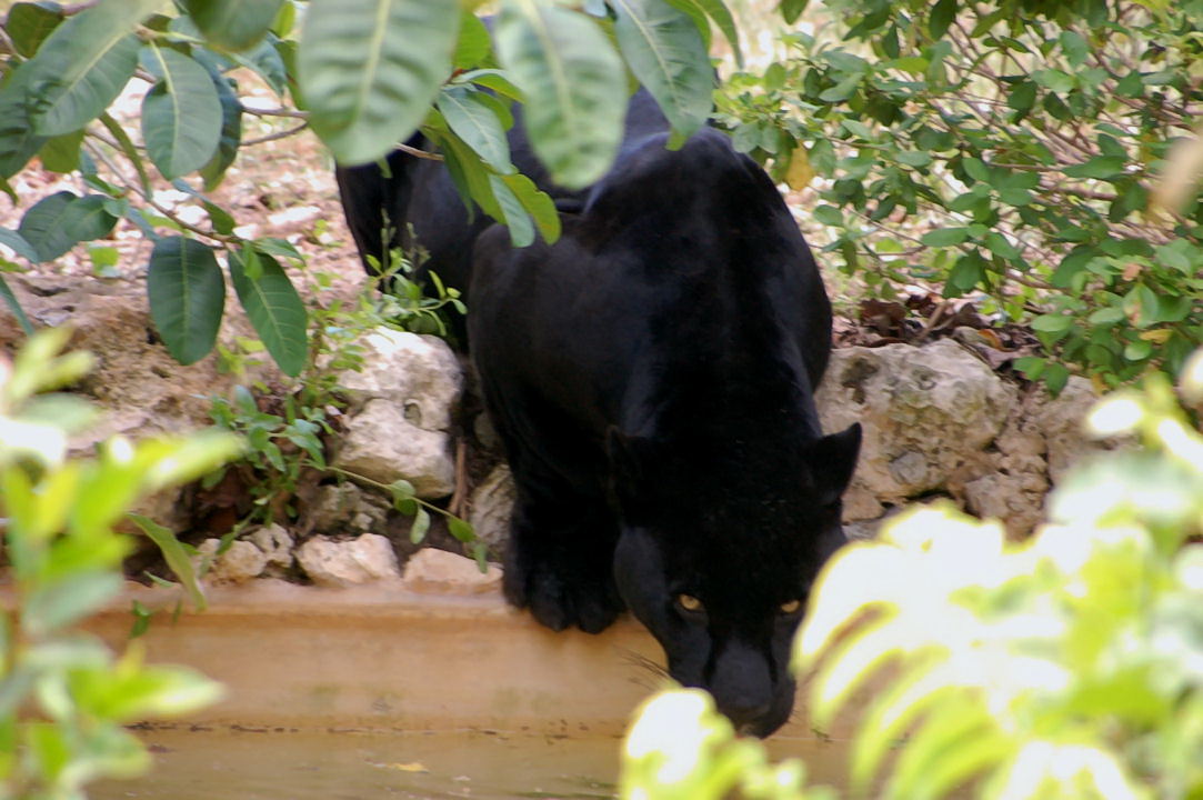 Foto de Xcaret, México