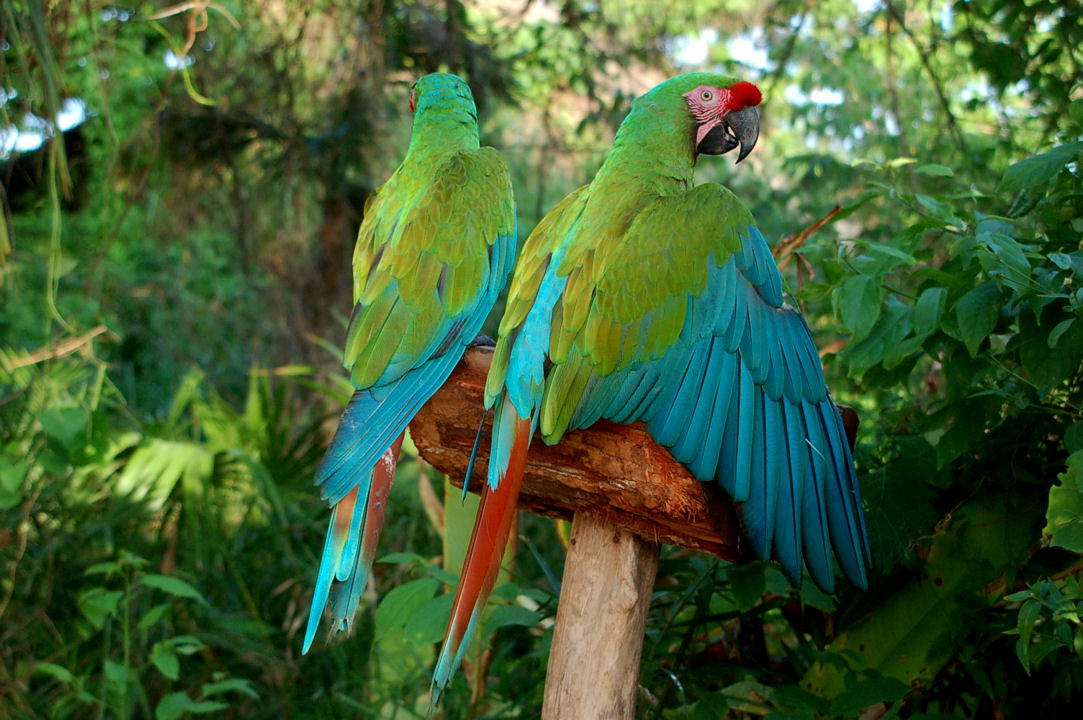 Foto de Xcaret, México