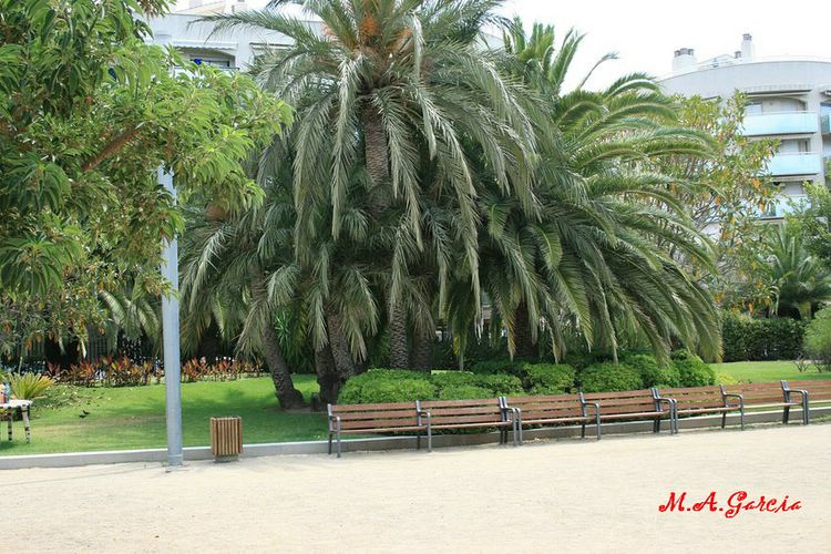 Foto de Cambrils (Tarragona), España