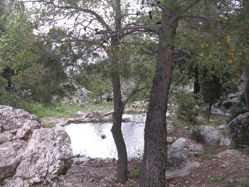 Foto de Tivissa (Tarragona), España