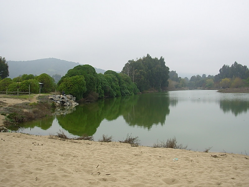 Foto de Papudo, Chile