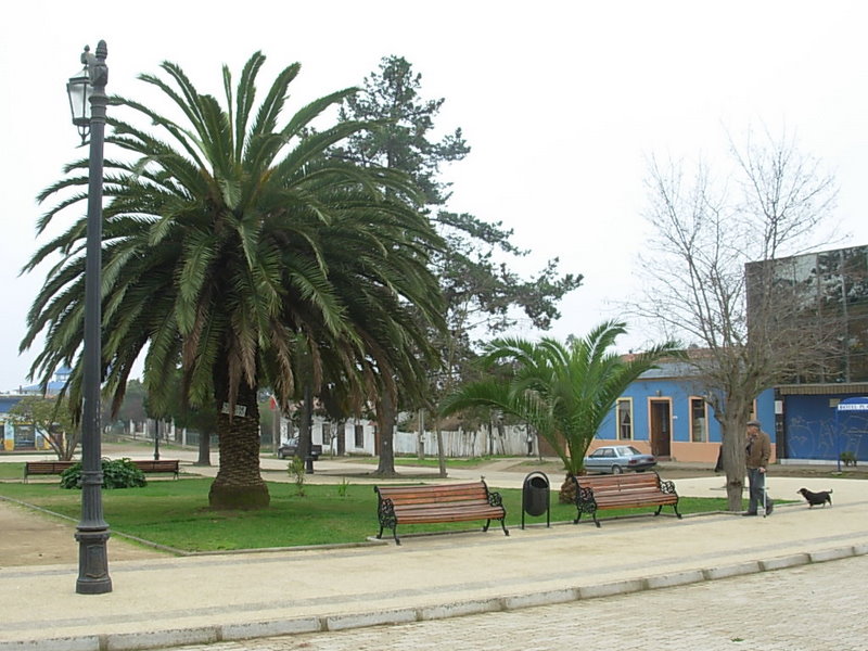 Foto de Papudo, Chile