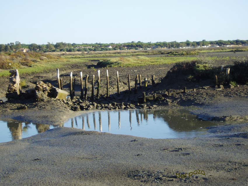 Foto de Chiclana (Cádiz), España