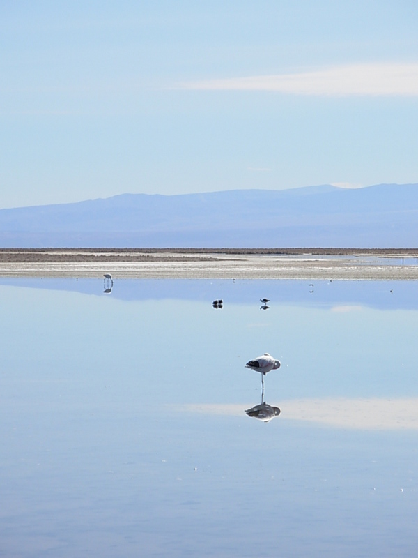 Foto de San Pedro de Atacama, Chile