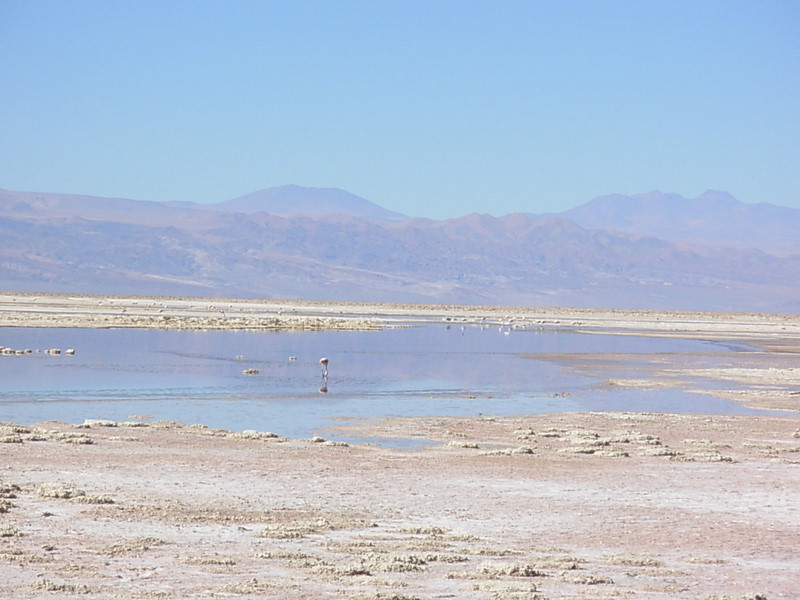 Foto de San Pedro de Atacama, Chile