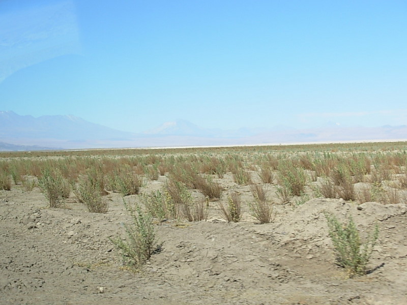 Foto de San Pedro de Atacama, Chile