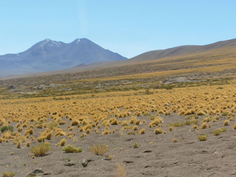 Foto de San Pedro de Atacama, Chile