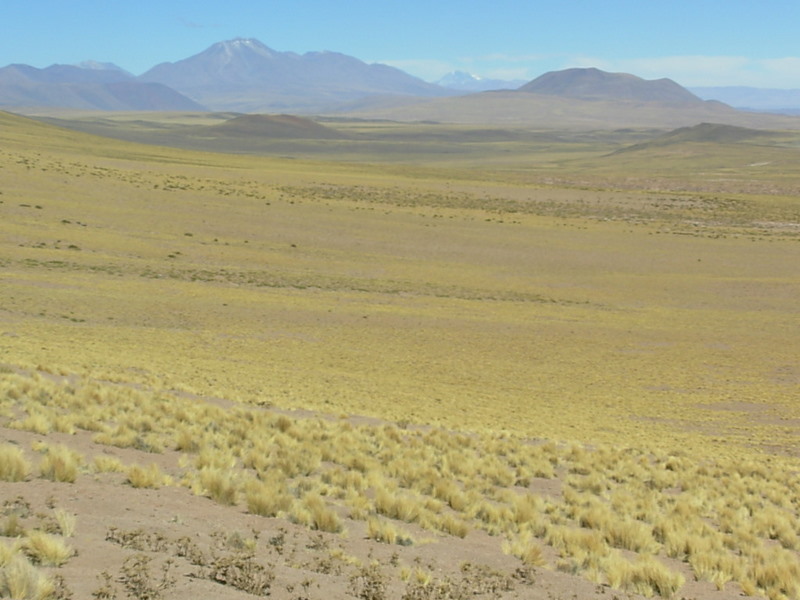 Foto de San Pedro de Atacama, Chile