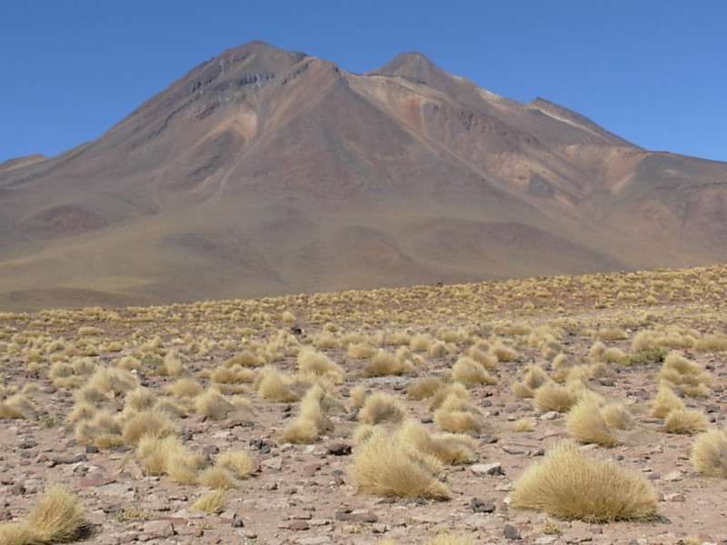 Foto de San Pedro de Atacama, Chile