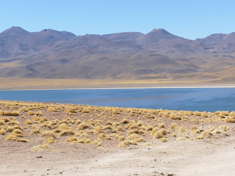 Foto de San Pedro de Atacama, Chile