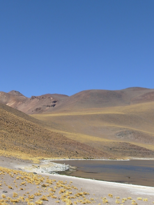 Foto de San Pedro de Atacama, Chile