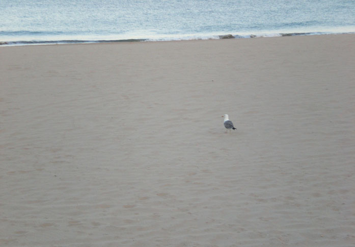 Foto de Cádiz (Andalucía), España