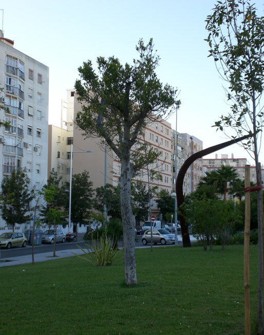 Foto de Cádiz (Andalucía), España