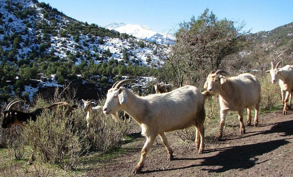 Foto de San José de Maipo, Chile