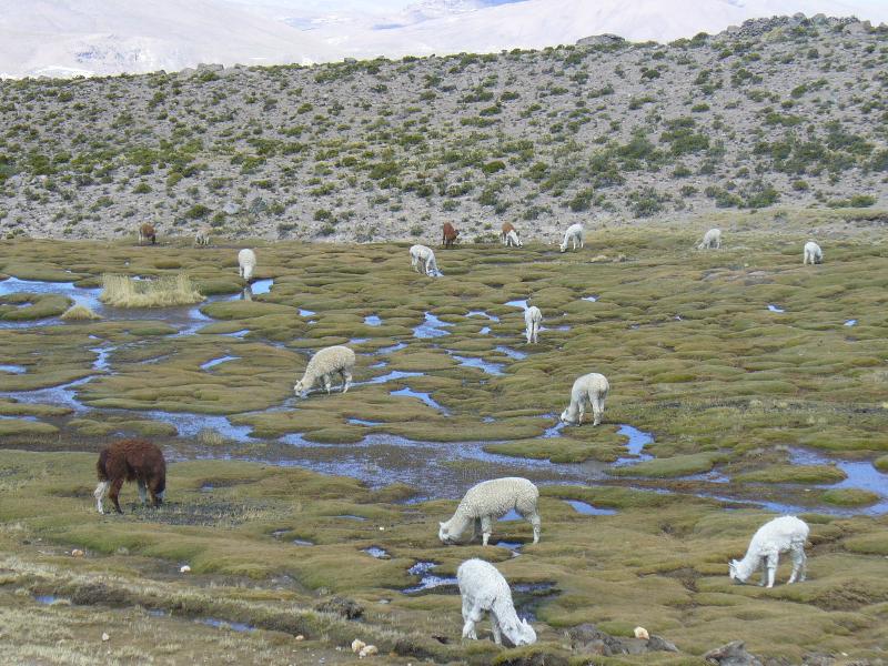 Foto de Arequipa, Perú