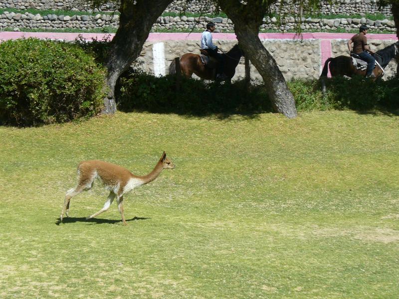 Foto de Arequipa, Perú